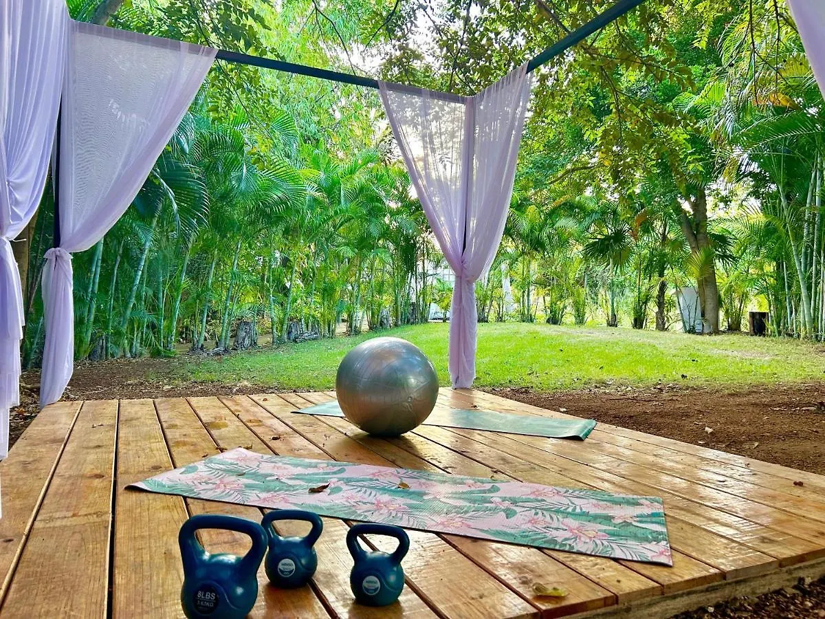 Moderna Villa Venus En Playacar 5 Min 5Ta/Playa 22 Pax Playa del Carmen 0*,
